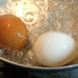 離乳食　はじめての卵（ゴックン期/管理栄養士）:卵黄と卵白の進め方